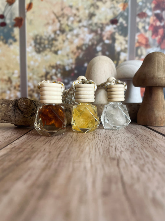 Diffuseurs pour voiture automne 🍁