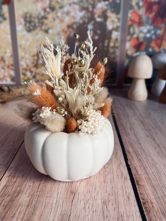 Citrouille fleurie d’automne 🍁