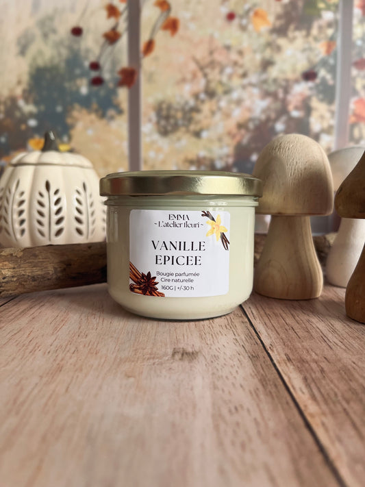 Bougie parfumée ~ Vanille épicée 160G 🍂