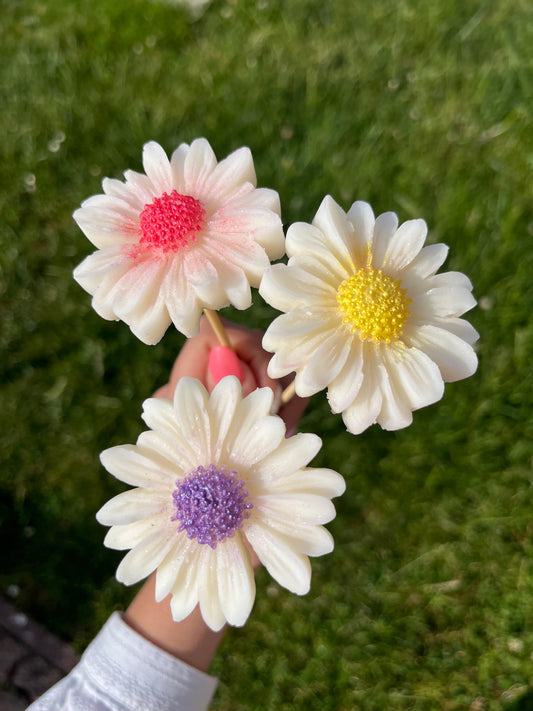 Cône Fleuri ~ Fondant parfumé 🌸